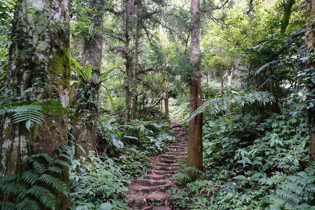 DSC05213.JPG DSC05213.JPG