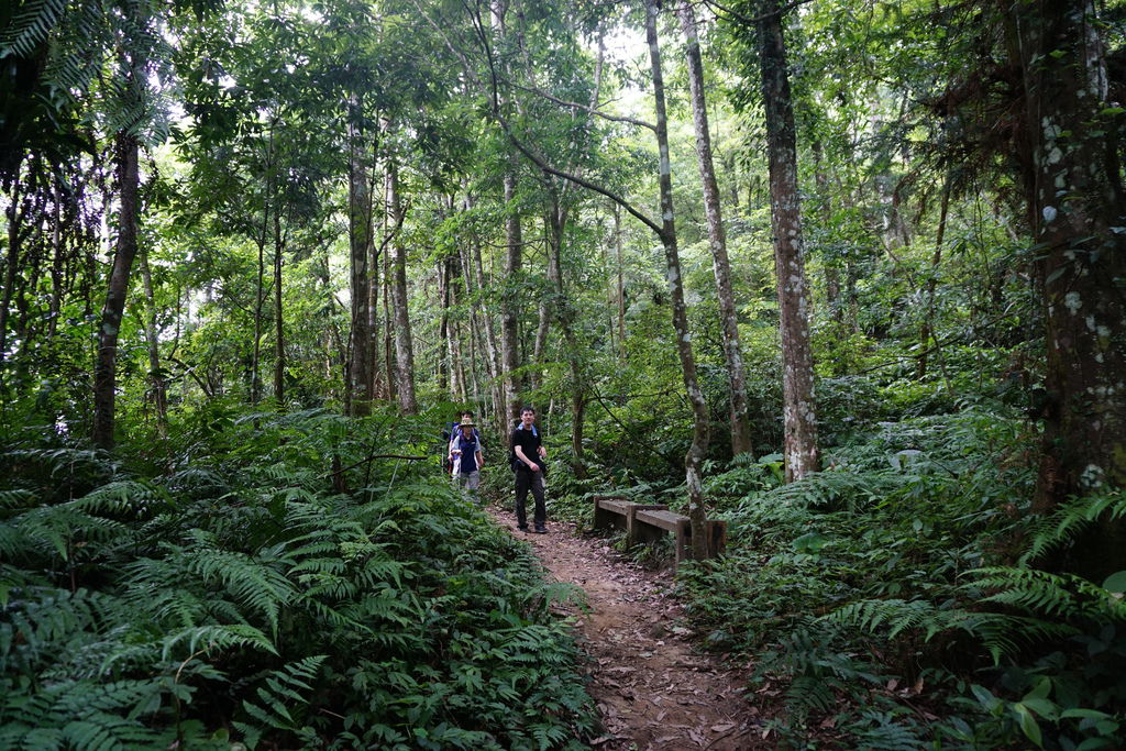 DSC05214.JPG DSC05214.JPG