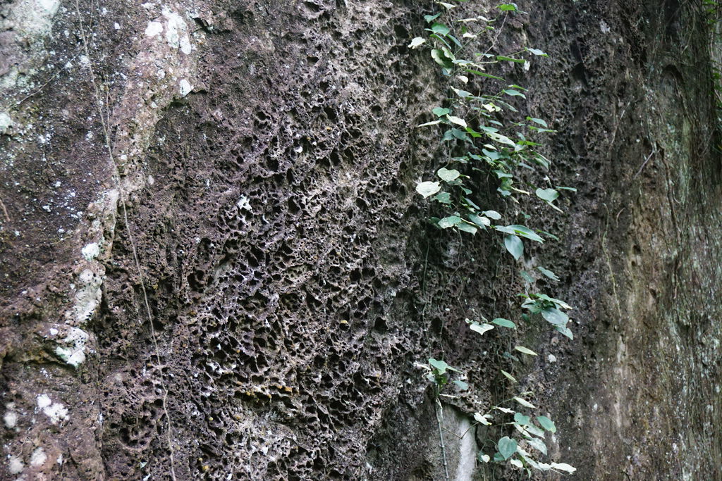 DSC05221.JPG DSC05221.JPG