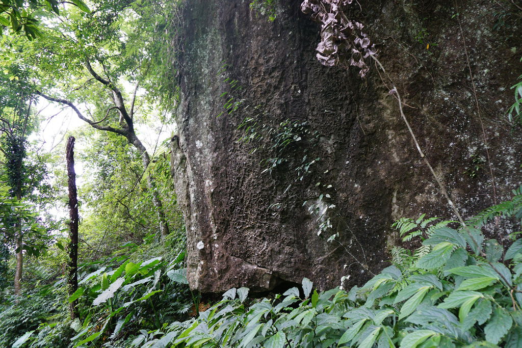 DSC05225.JPG DSC05225.JPG