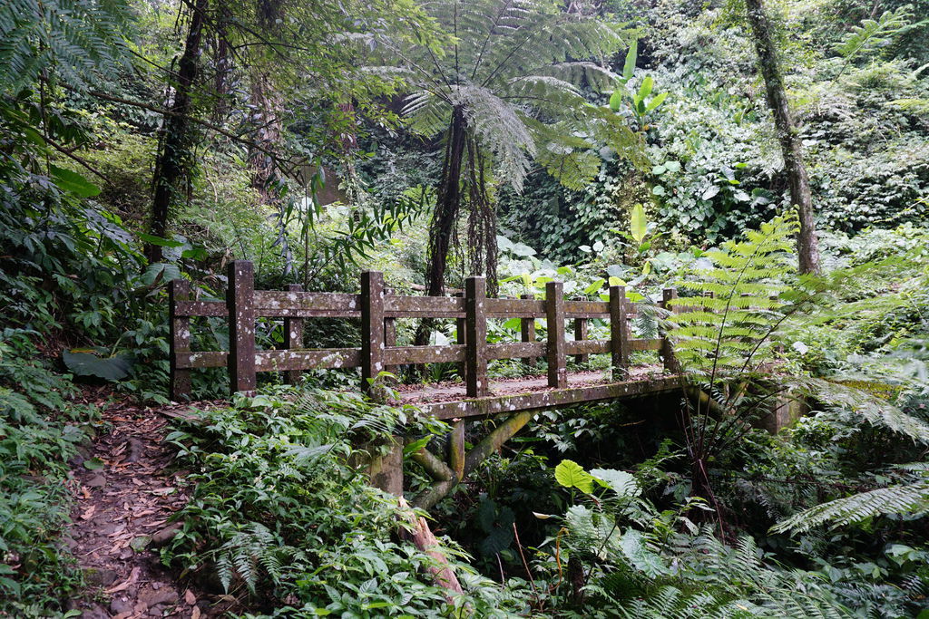 DSC05227.JPG DSC05227.JPG