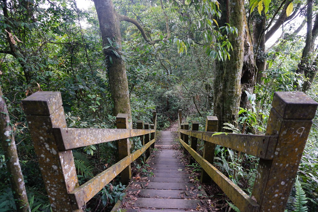 DSC05228.JPG DSC05228.JPG