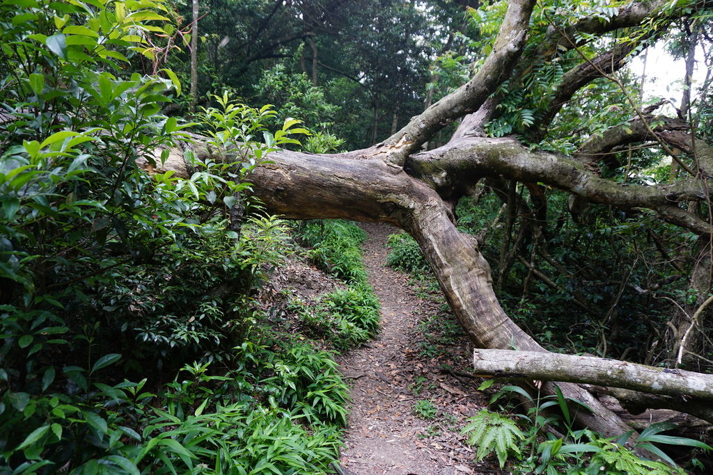 DSC05230.JPG DSC05230.JPG