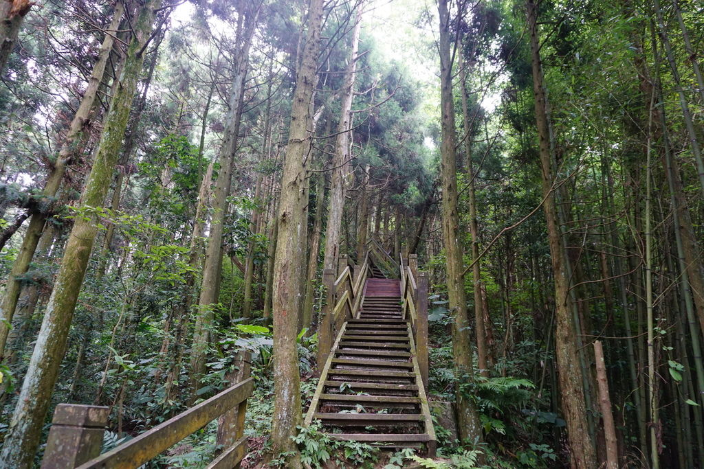 DSC05231.JPG DSC05231.JPG