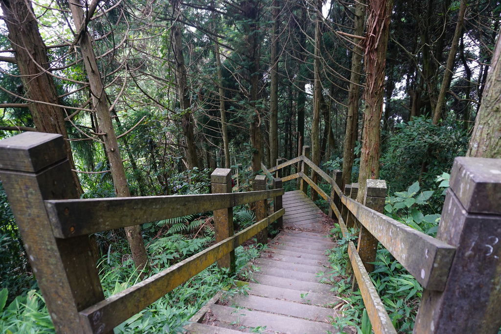 DSC05233.JPG DSC05233.JPG