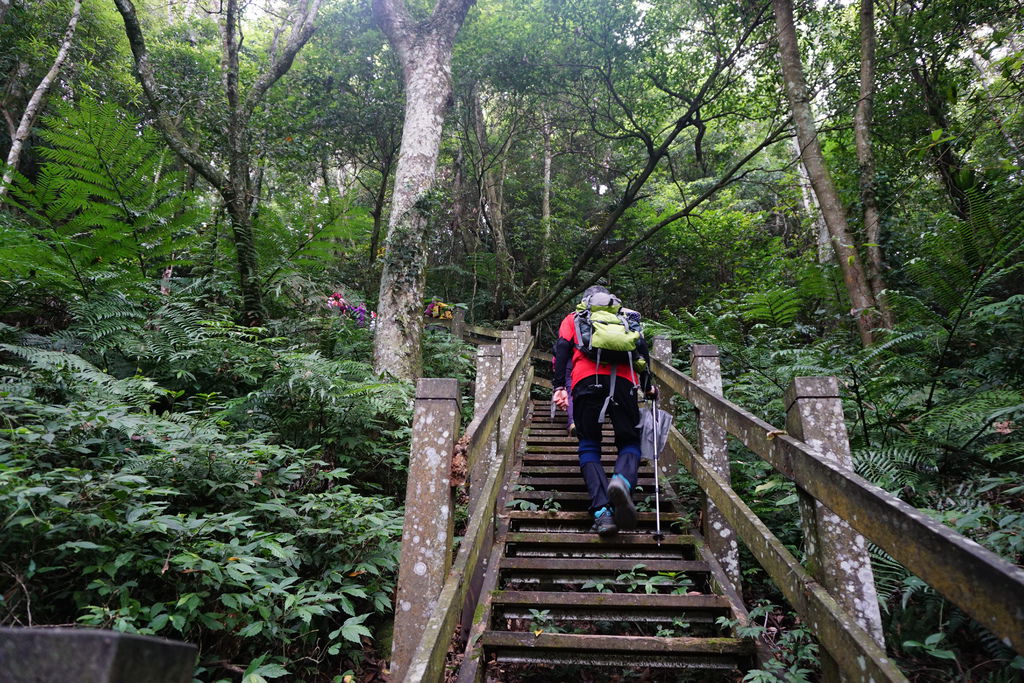 DSC05242.JPG DSC05242.JPG