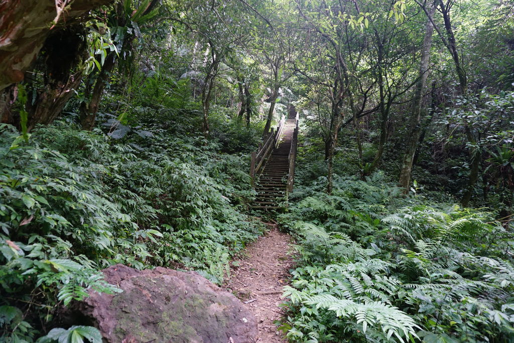 DSC05244.JPG DSC05244.JPG