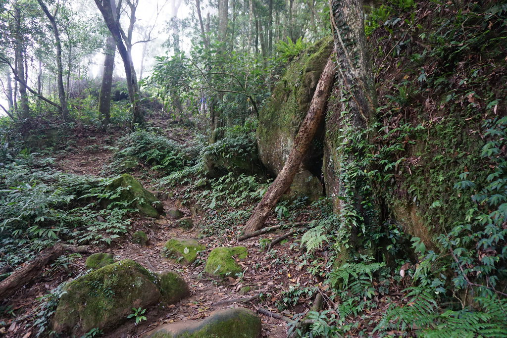 DSC05245.JPG DSC05245.JPG