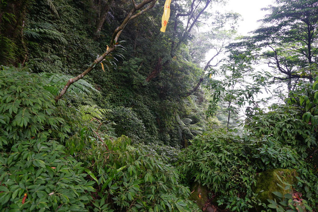 DSC05256.JPG DSC05256.JPG