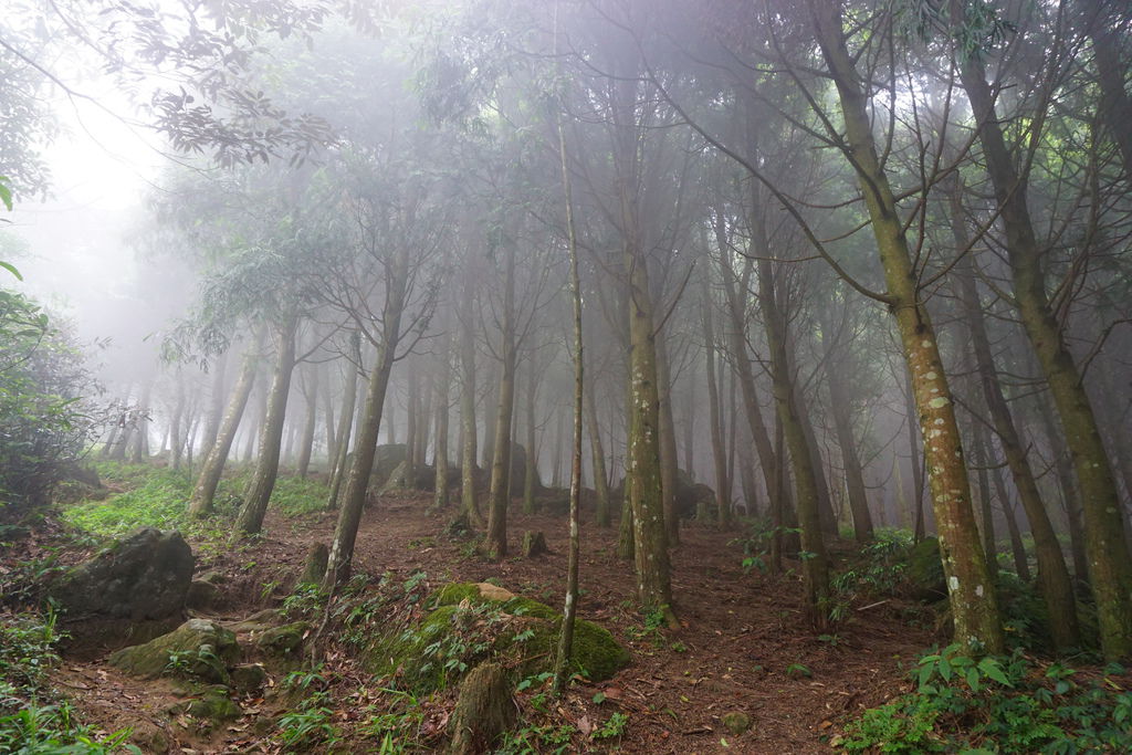 DSC05262.JPG DSC05262.JPG