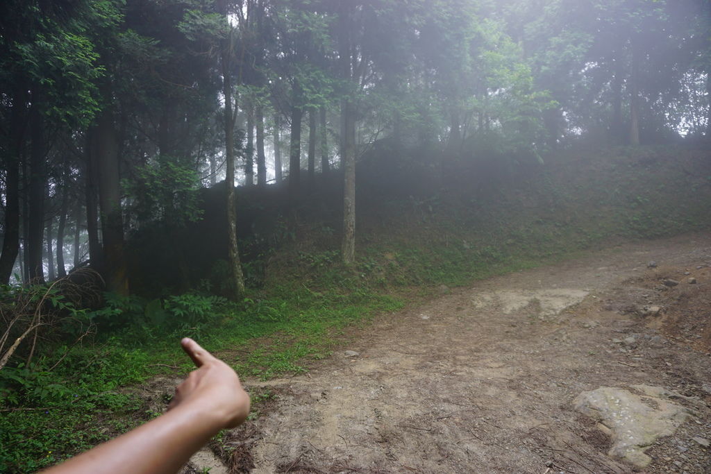 DSC05309.JPG DSC05309.JPG