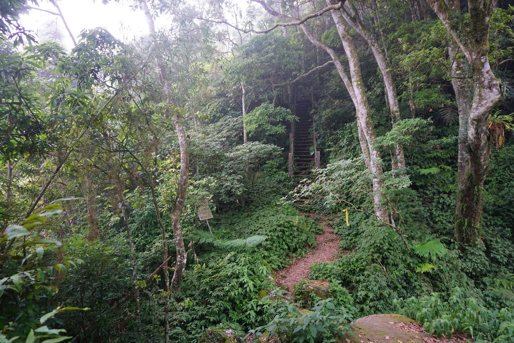 DSC05310.JPG DSC05310.JPG