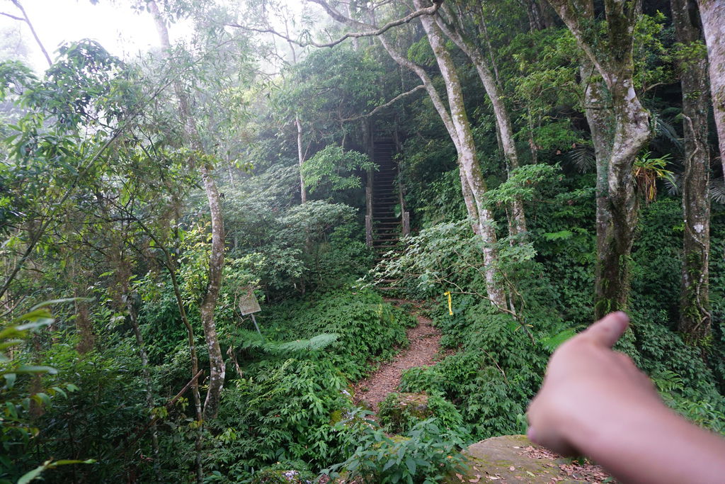 DSC05311.JPG DSC05311.JPG