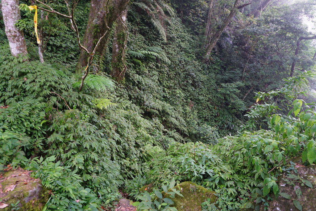 DSC05312.JPG DSC05312.JPG