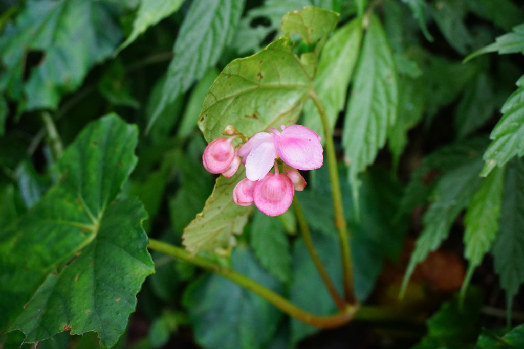 DSC05316.JPG DSC05316.JPG