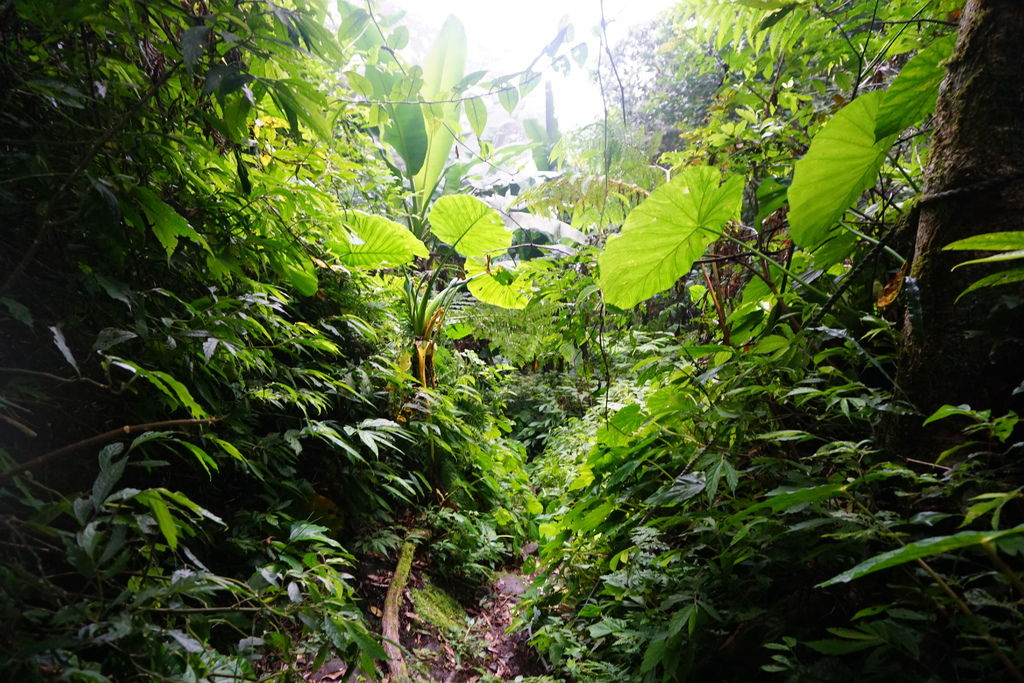 DSC05319.JPG DSC05319.JPG