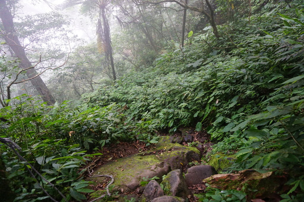 DSC05320.JPG DSC05320.JPG