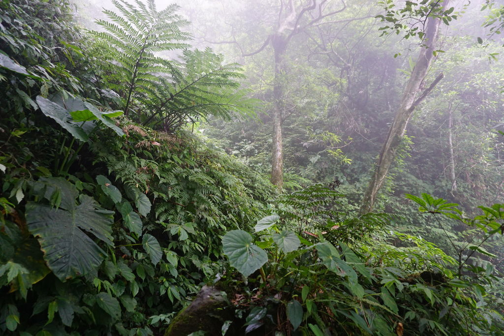 DSC05321.JPG DSC05321.JPG