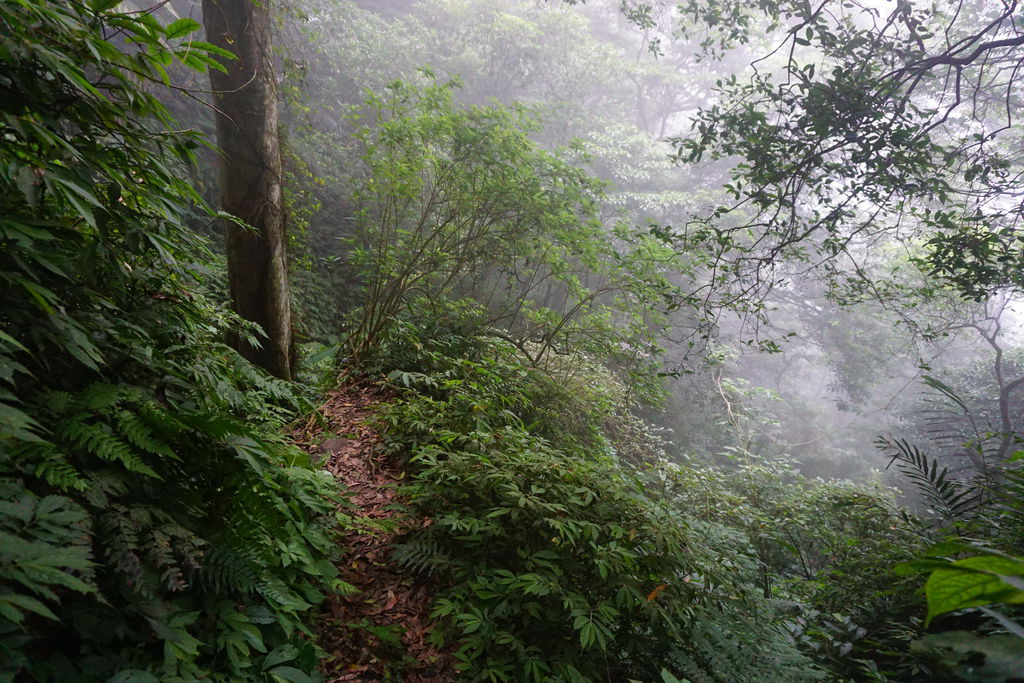 DSC05322.JPG DSC05322.JPG