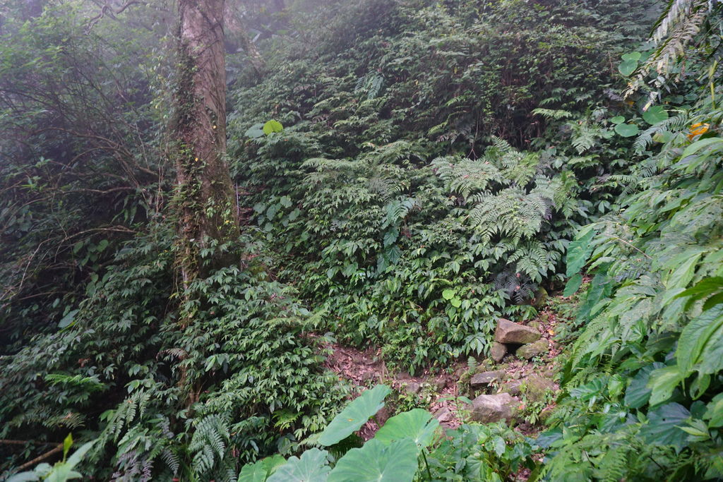 DSC05324.JPG DSC05324.JPG