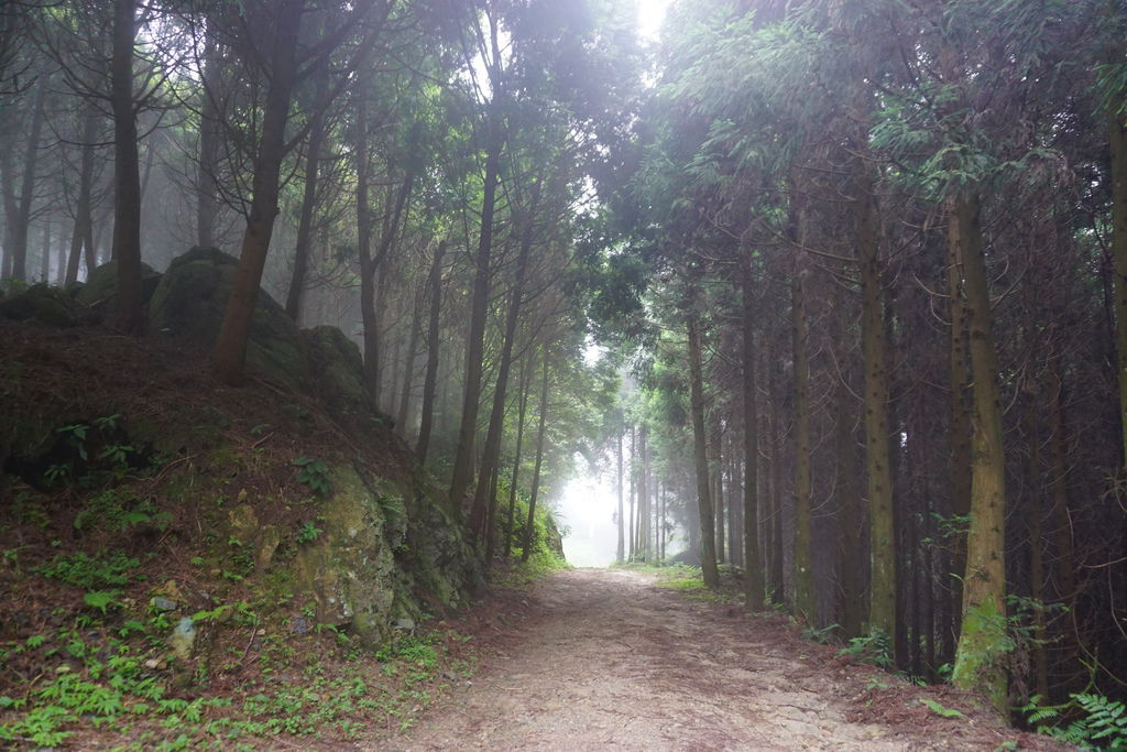 DSC05298.JPG DSC05298.JPG