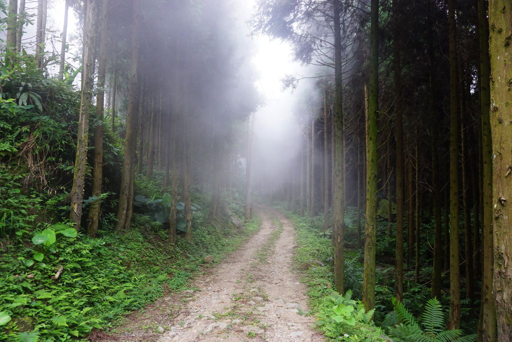 DSC05301.JPG DSC05301.JPG