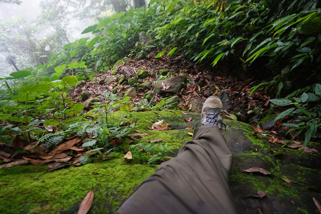 DSC05328.JPG DSC05328.JPG