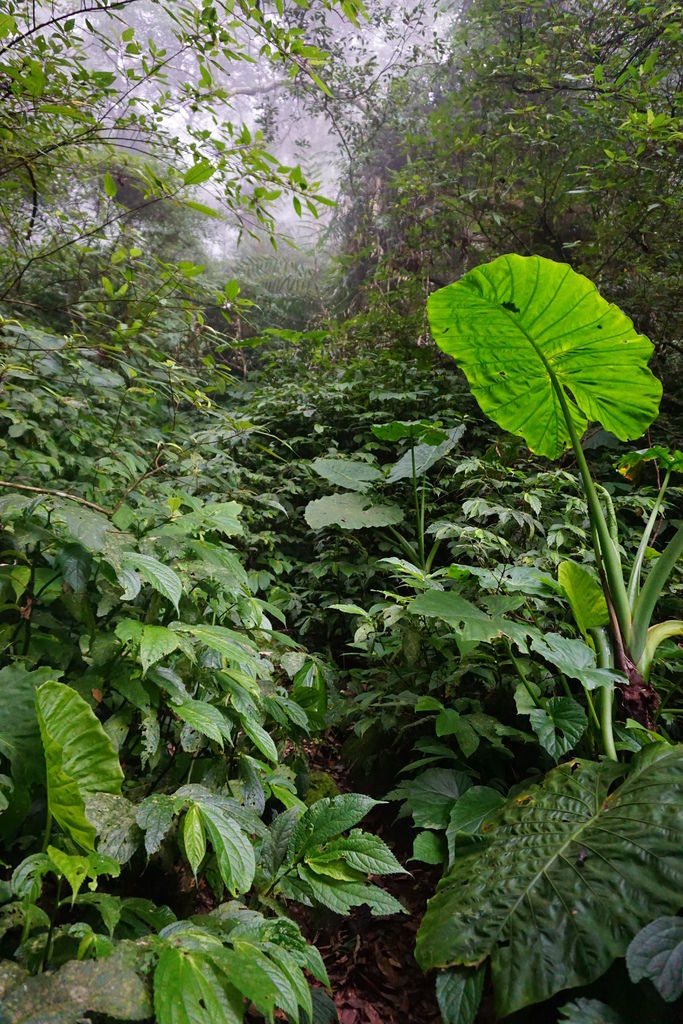 DSC05336.JPG DSC05336.JPG