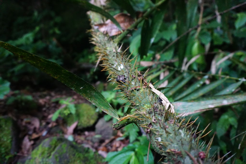 DSC05343.JPG DSC05343.JPG