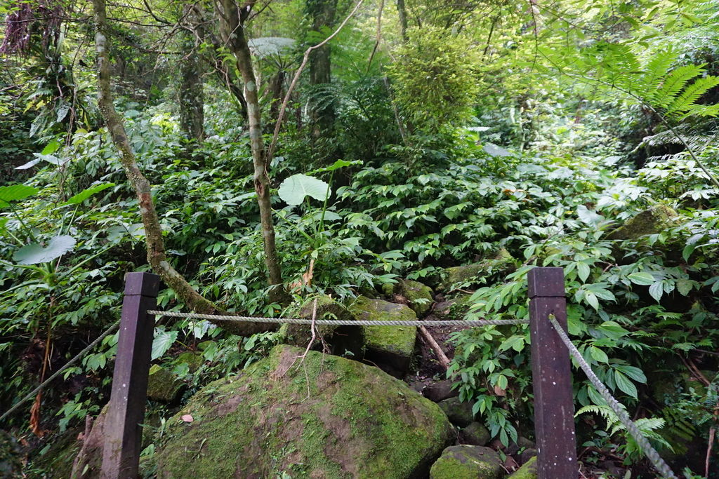 DSC05347.JPG DSC05347.JPG