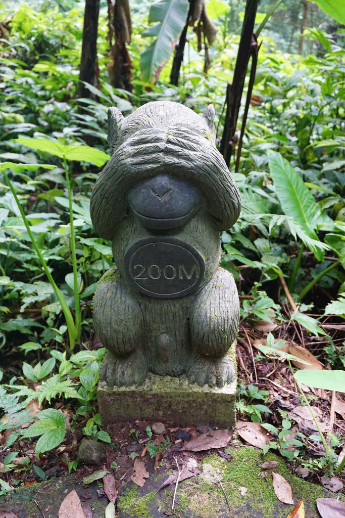 DSC05353.JPG DSC05353.JPG