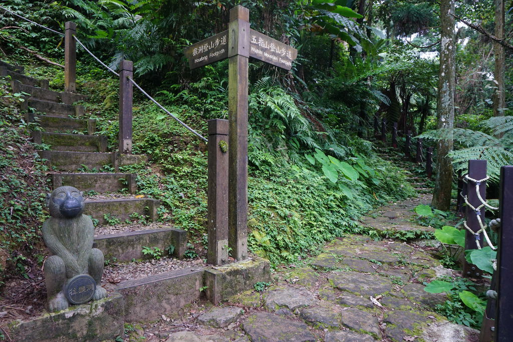 DSC05377.JPG DSC05377.JPG