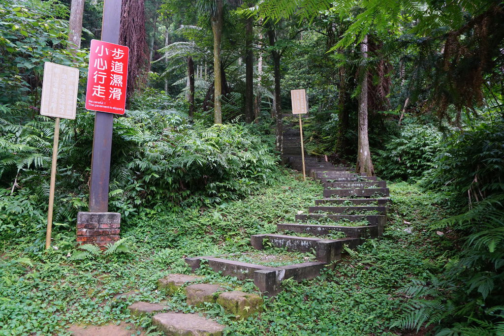 DSC05379.JPG DSC05379.JPG