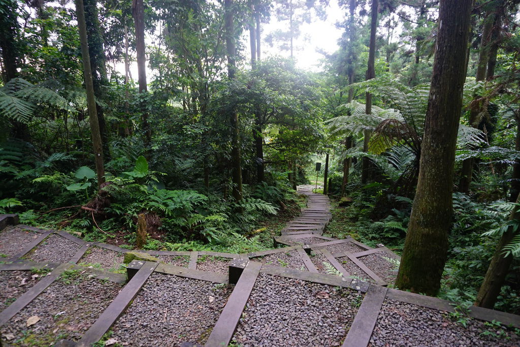 DSC05378.JPG DSC05378.JPG