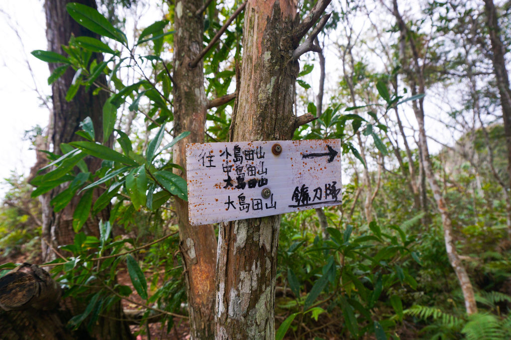 180317 [尖石] 高島縱走：高台山、小島田山、中島田山