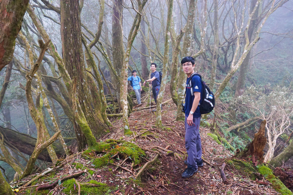 180317 [尖石] 高島縱走：高台山、小島田山、中島田山