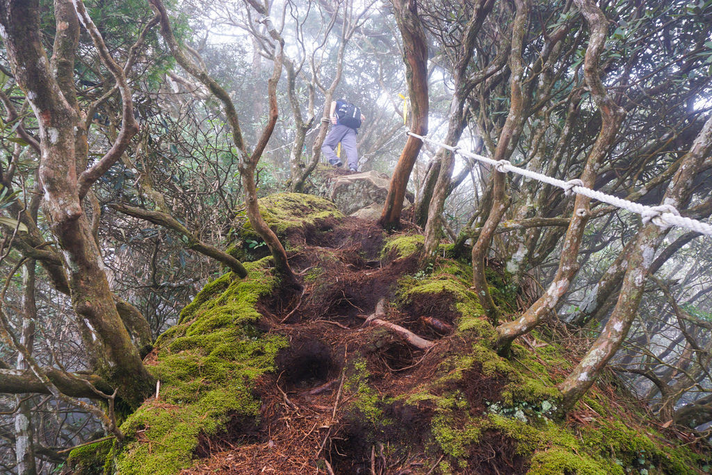 180317 [尖石] 高島縱走：高台山、小島田山、中島田山