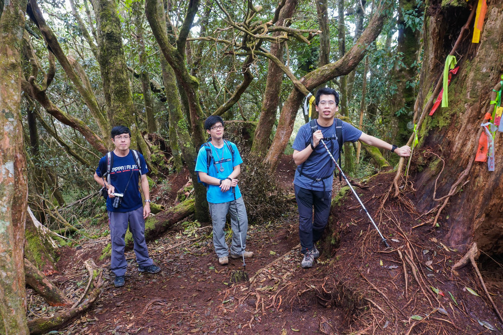 180317 [尖石] 高島縱走：高台山、小島田山、中島田山