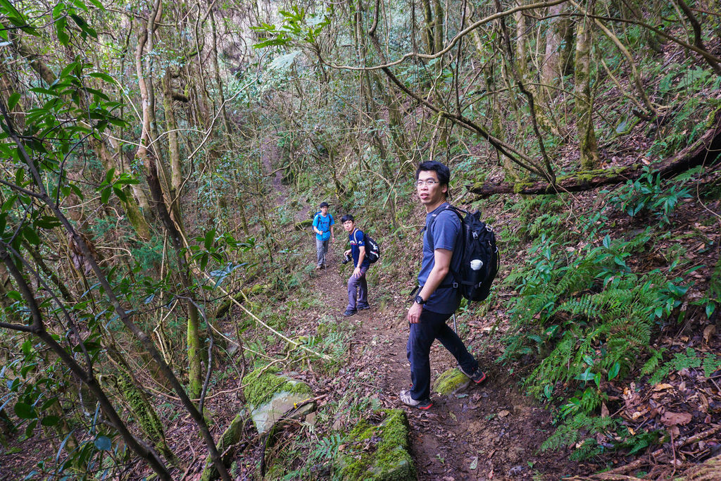 180317 [尖石] 高島縱走：高台山、小島田山、中島田山