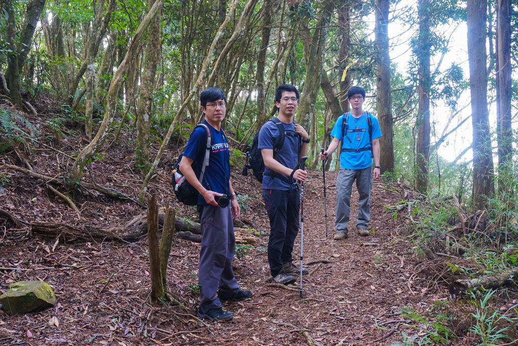 180317 [尖石] 高島縱走：高台山、小島田山、中島田山