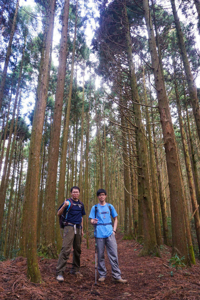 180317 [尖石] 高島縱走：高台山、小島田山、中島田山