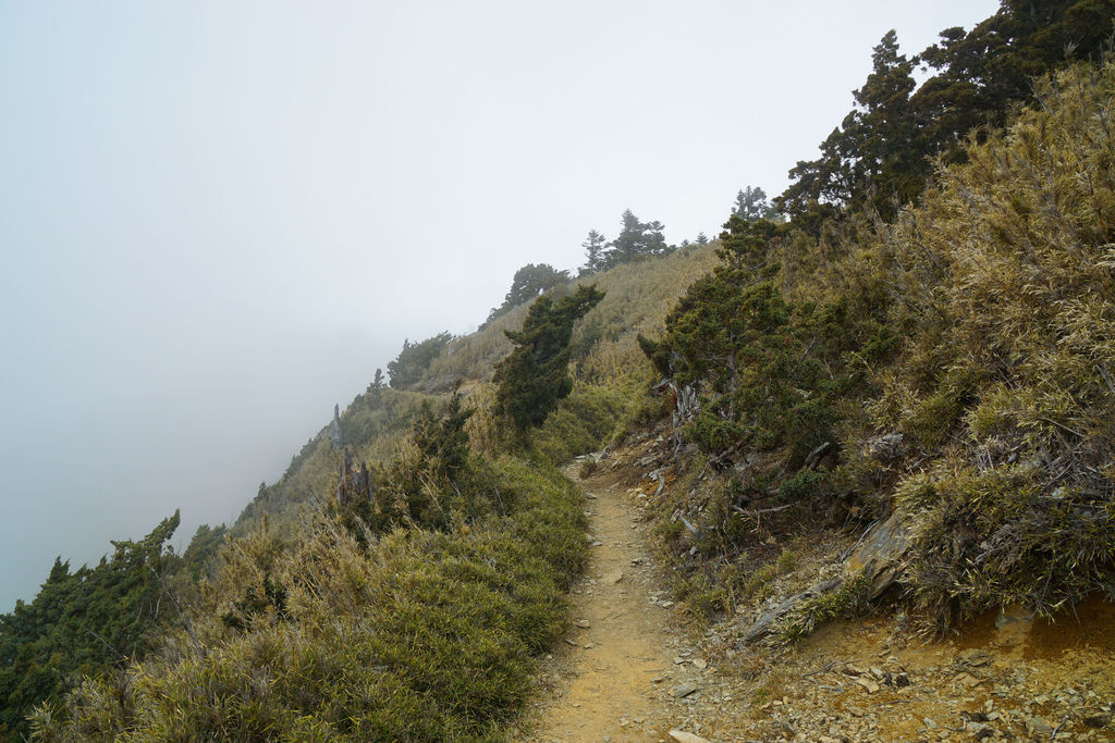 180330-0331 [百岳] 玉山西主東峰 2nd：玉山