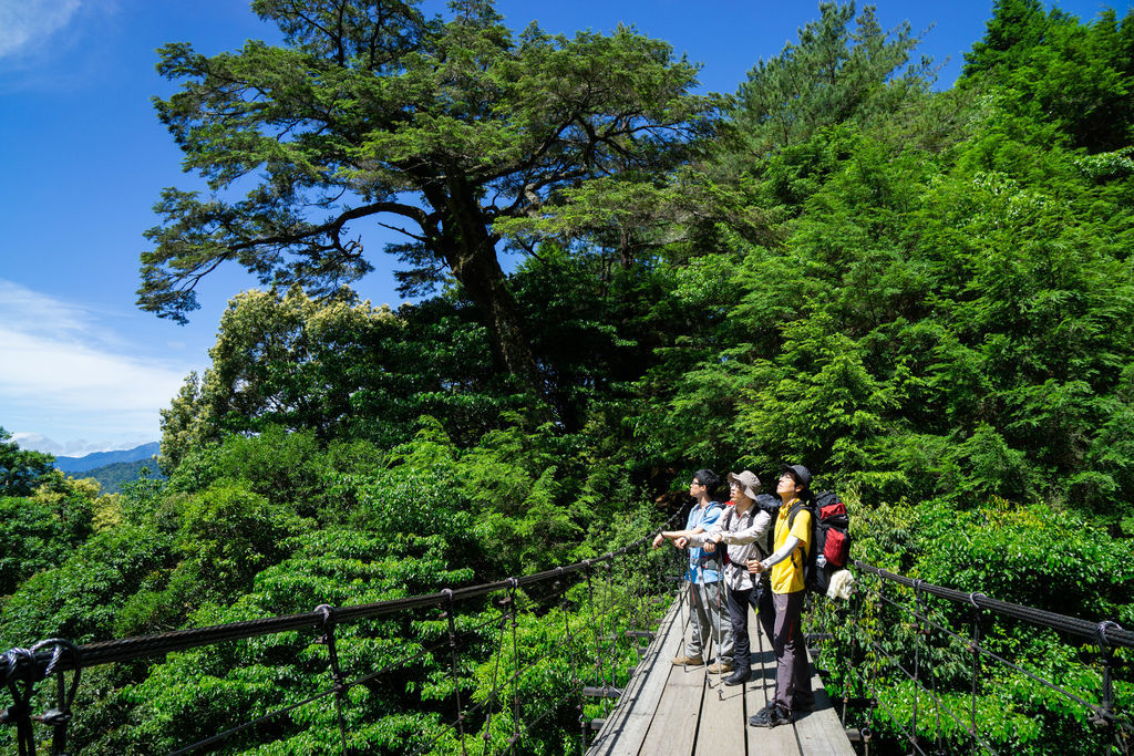 180608-0610 [百岳] 能高主峰、卡賀爾山、尾上山