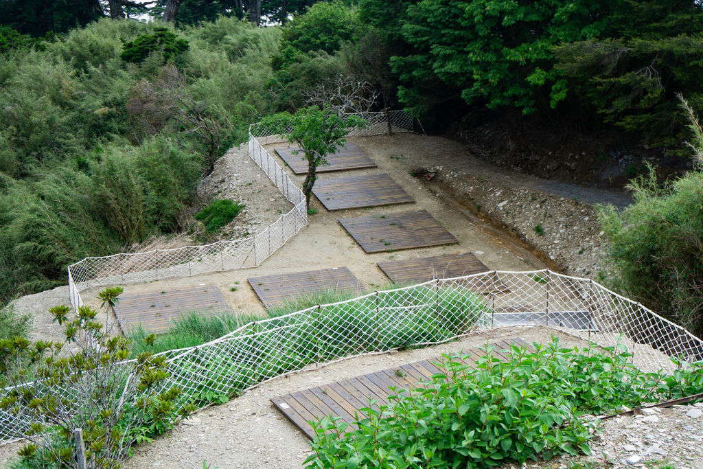 180608-0610 [百岳] 能高主峰、卡賀爾山、尾上山