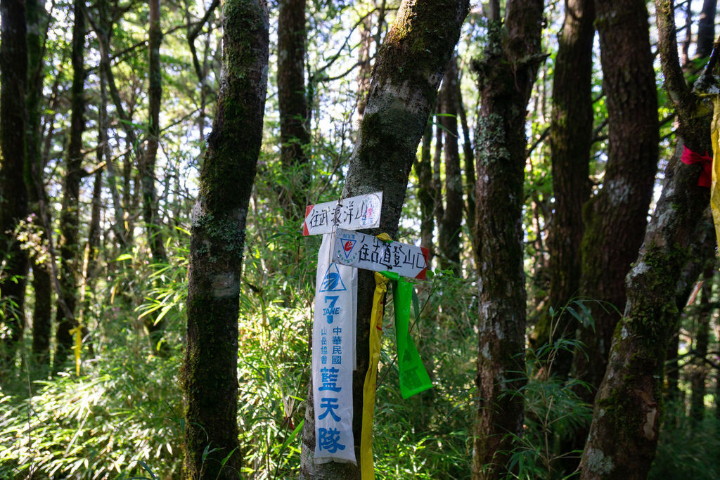 180608-0610 [百岳] 能高主峰、卡賀爾山、尾上山