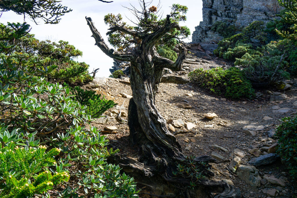 180602-0603 [百岳] 玉山主北2nd：玉山主峰、