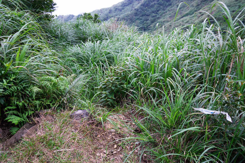 181006 [瑞芳] 劍龍稜、鋸齒稜、茶壺山稜、俯瞰稜O型