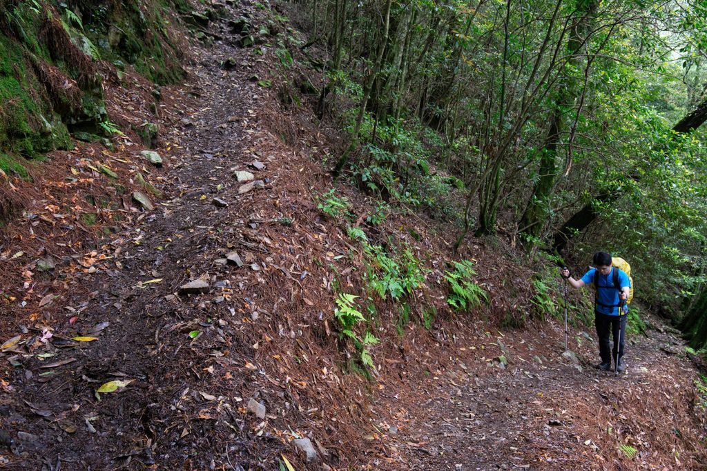 190524-0526 [百岳] 大霸群峰：大霸尖山、小霸尖