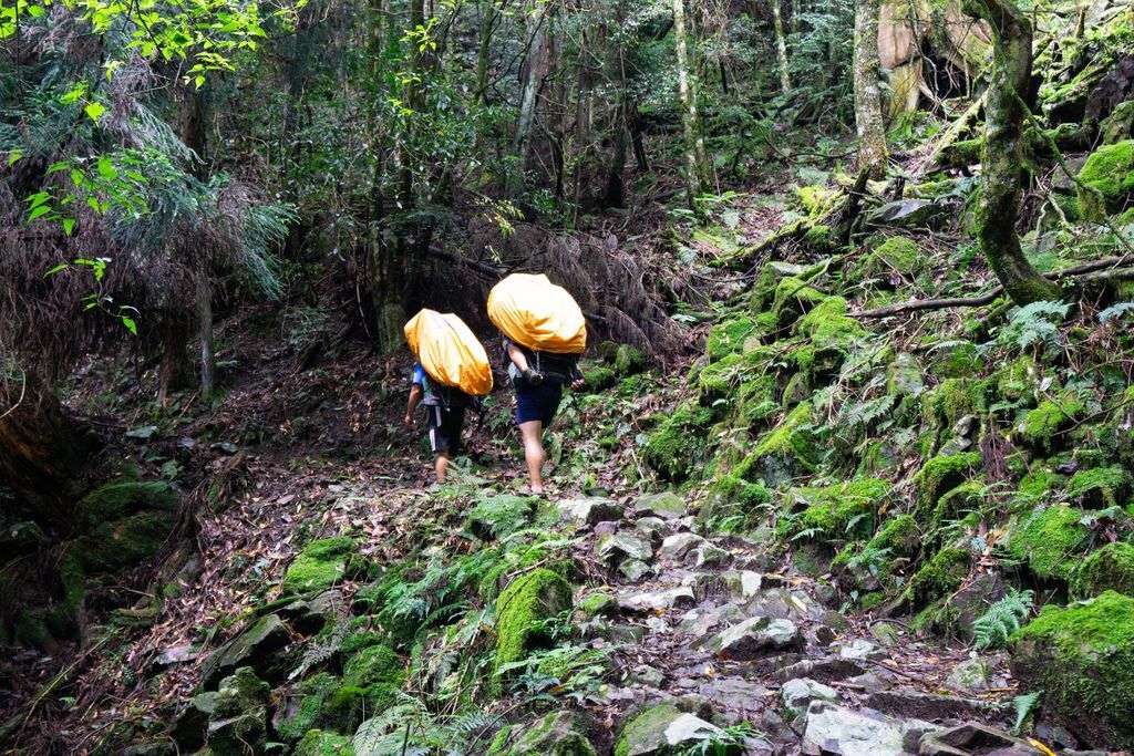 190524-0526 [百岳] 大霸群峰：大霸尖山、小霸尖