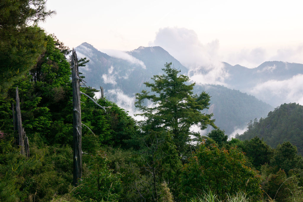 190524-0526 [百岳] 大霸群峰：大霸尖山、小霸尖